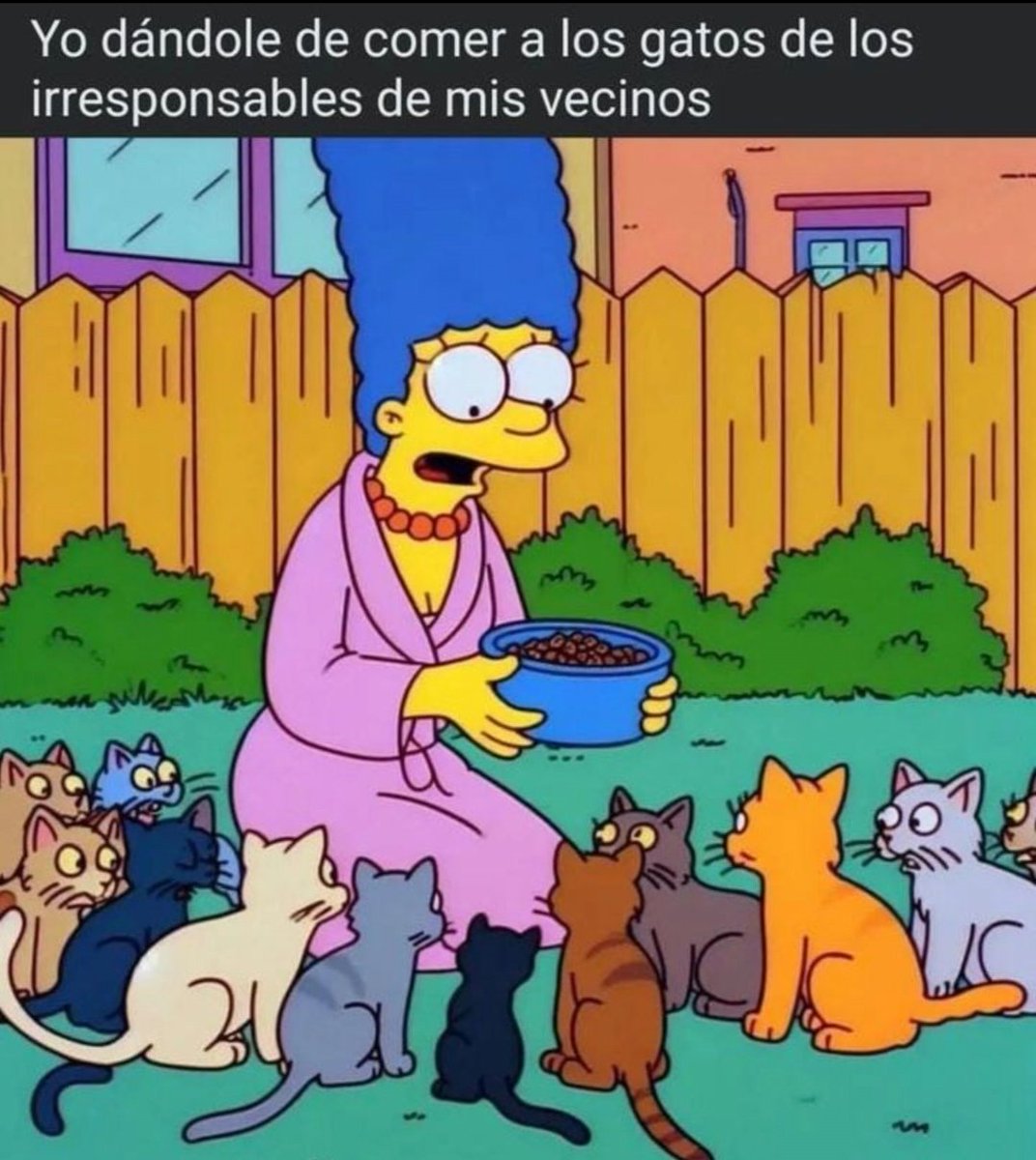 boladepelosof's tweet photo. 😸😸😸 Siempre hay Karens así 
😽😽😽

#boladepelos #michimeme #CatsOfX #gato #gatos #gatitos #gatosfelices #catslovers #mascota #mascotas #mascotasfelices #felinos https://t.co/gcDeHbvix6