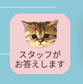yamenasa1_love's tweet photo. ねこが答えてくれる可能性あってかなりうれしい https://t.co/bAz2K4L8ZQ
