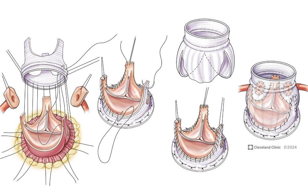 Eric E. Roselli tweet media