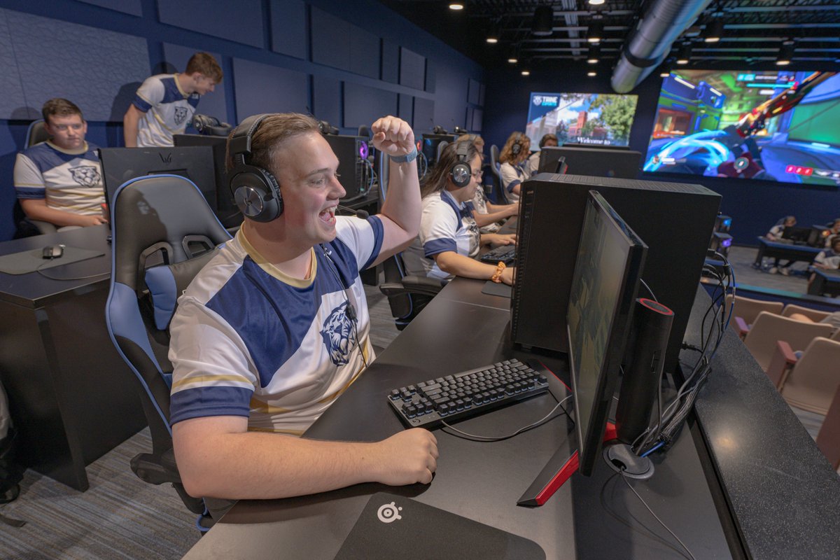 Trine Esports tweet media