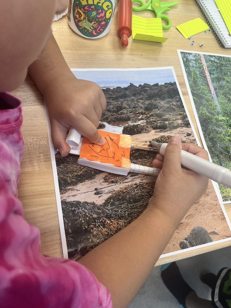 Olivia Sumner, M. Ed. tweet media