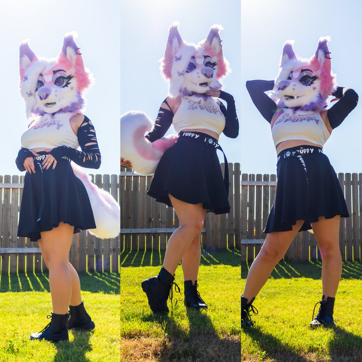 Roosterplume's tweet photo. Photos by @alkayawolf 📸 https://t.co/vb5grpKm6t