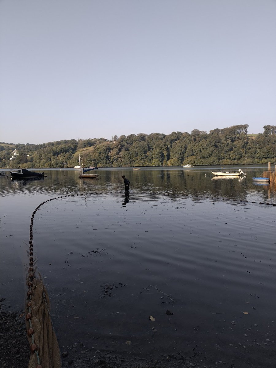 _RachelTurnbull's tweet photo. September #seabass expedition 2 day 2 @PlymUni! A long one today with some massive tides, but well worth the effort for more than a hundred bass (plus some goby ID in the dark) 🌕#FHRU https://t.co/AQnmd89luQ
