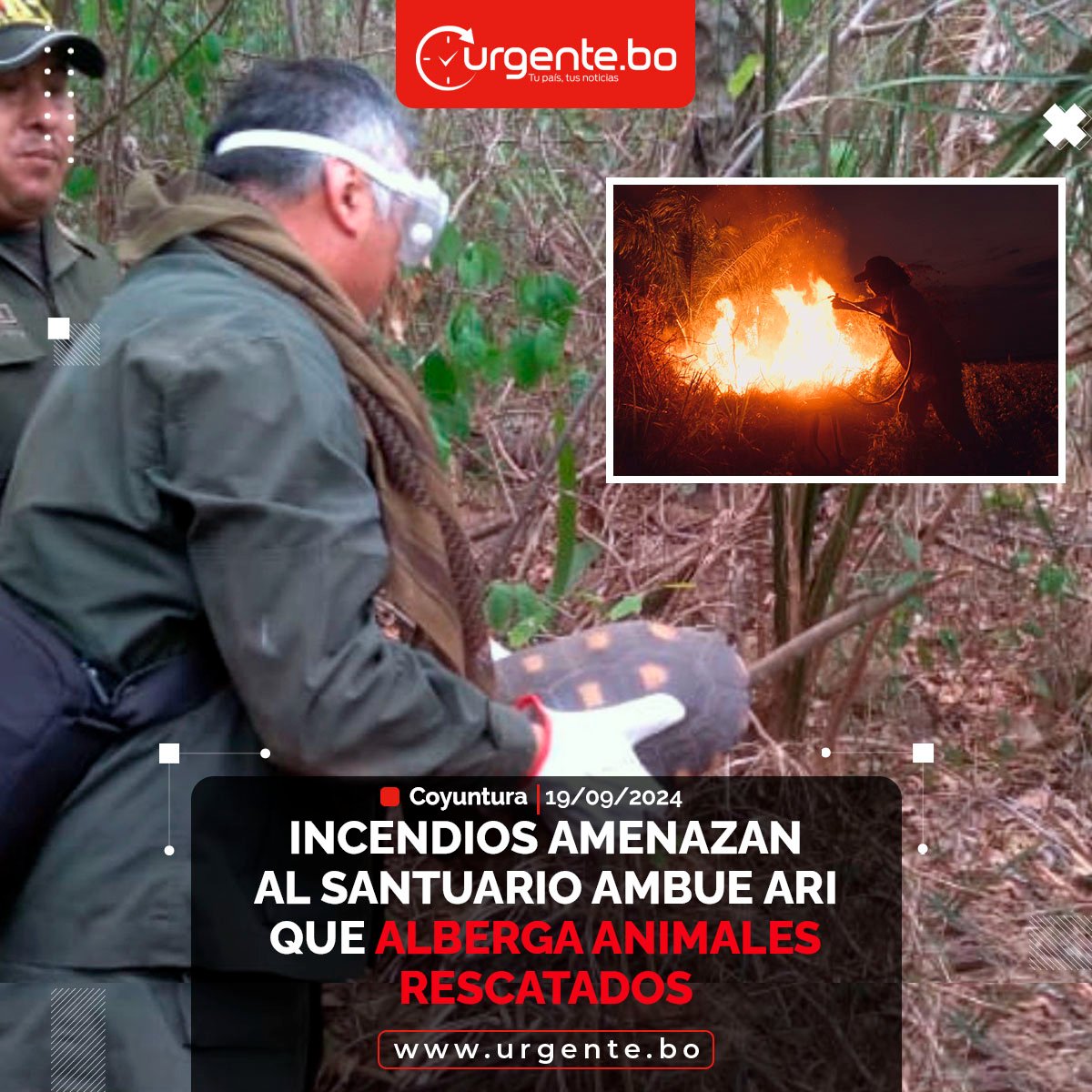 #Urgentebo |Los incendios forestales amenazan el Santuario de Fauna Silvestre Ambue Ari, que alberga más de 100 animales rescatados del tráfico y caza ilegal
🔴 Lea la nota acá: acortar.link/RgWscG