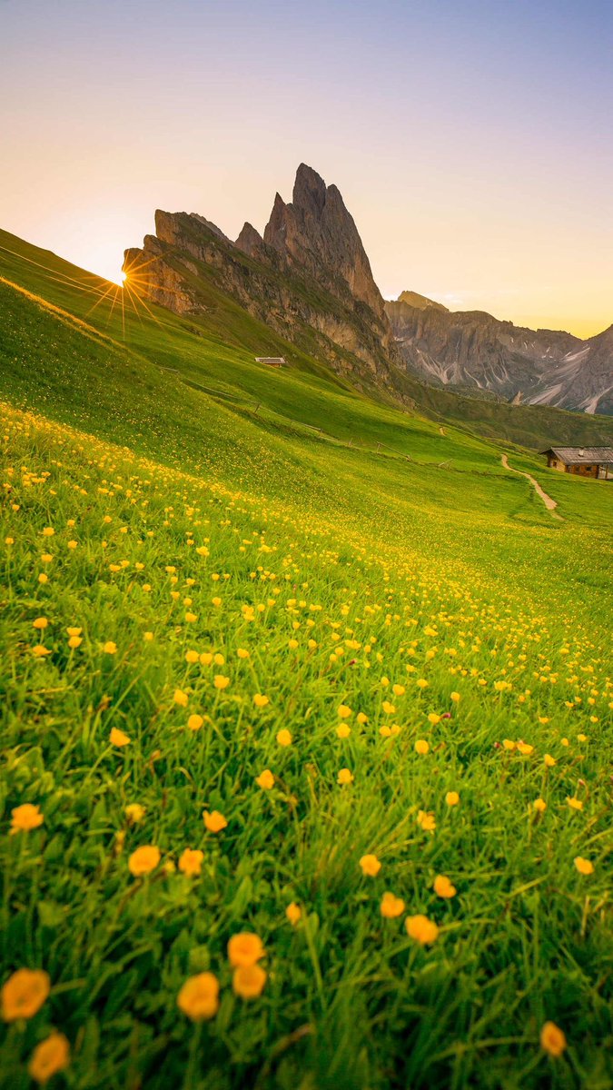 ᅠ ᅠ (@greendreaams) on Twitter photo 