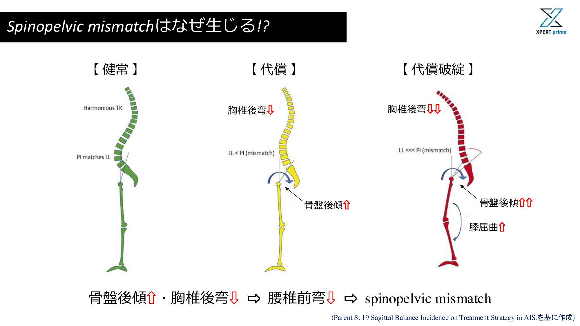人気商品・限定商品ばかりの「超得 半額福袋」が販売開始 田中 創 / So TANAKA on X:  その他