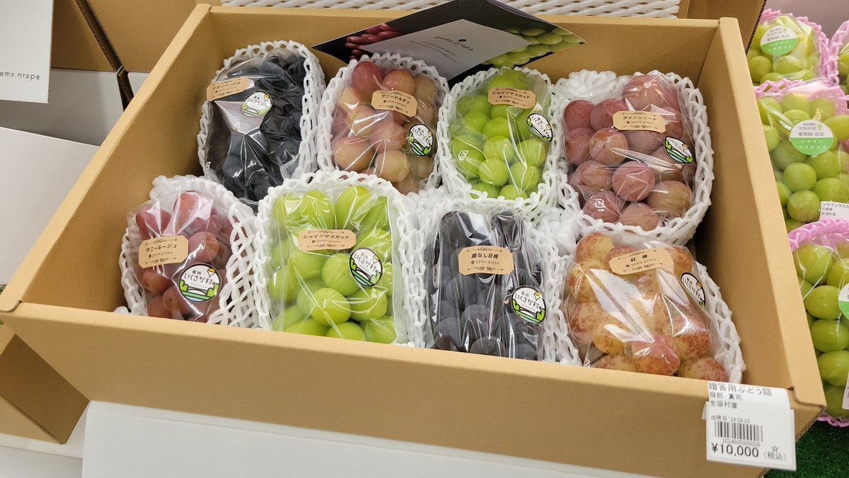 長野県 生坂村 ぶどうカード第2弾コンプリートセット