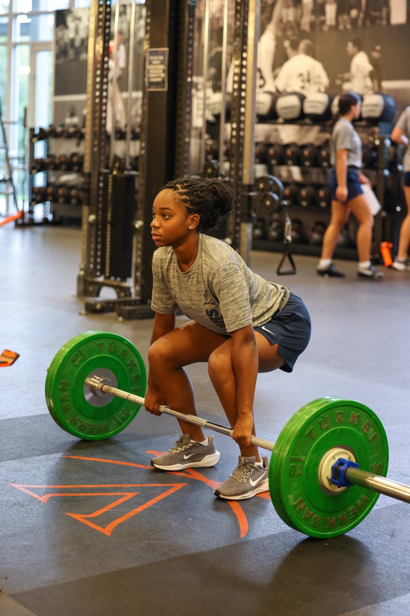Virginia Softball tweet media