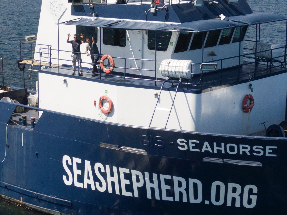 SeaShepherdSSCS's tweet photo. Never take it for granted. One day we'll look back and say we did something good today. Even if we just kept watch. https://t.co/cGLTZfbMG3 🫡🙌�� #oceanwarrior https://t.co/PBIZeFQCTx