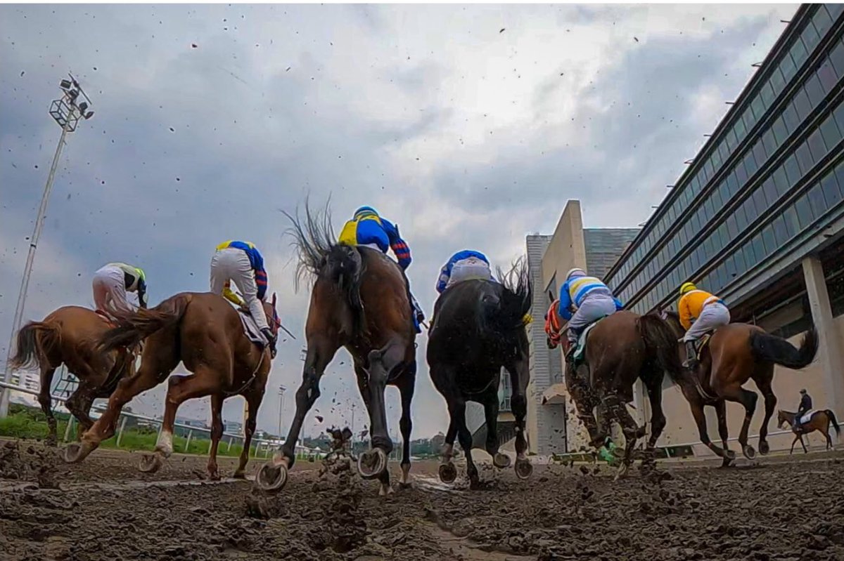 Se acerca “la carrera de carreras” de nuestro hipismo, el Handicap de Las Américas. Preparando con el mejor equipo @nikonmx para cubrir y hacer historia con las mejores imágenes. No saben cuánto me emociona como si fuera la primera vez. 
📷 <a href="/miguel_spinozsa/">Miguel Spinozsa</a> <a href="/hipodromomex/">hipodromomex</a>
