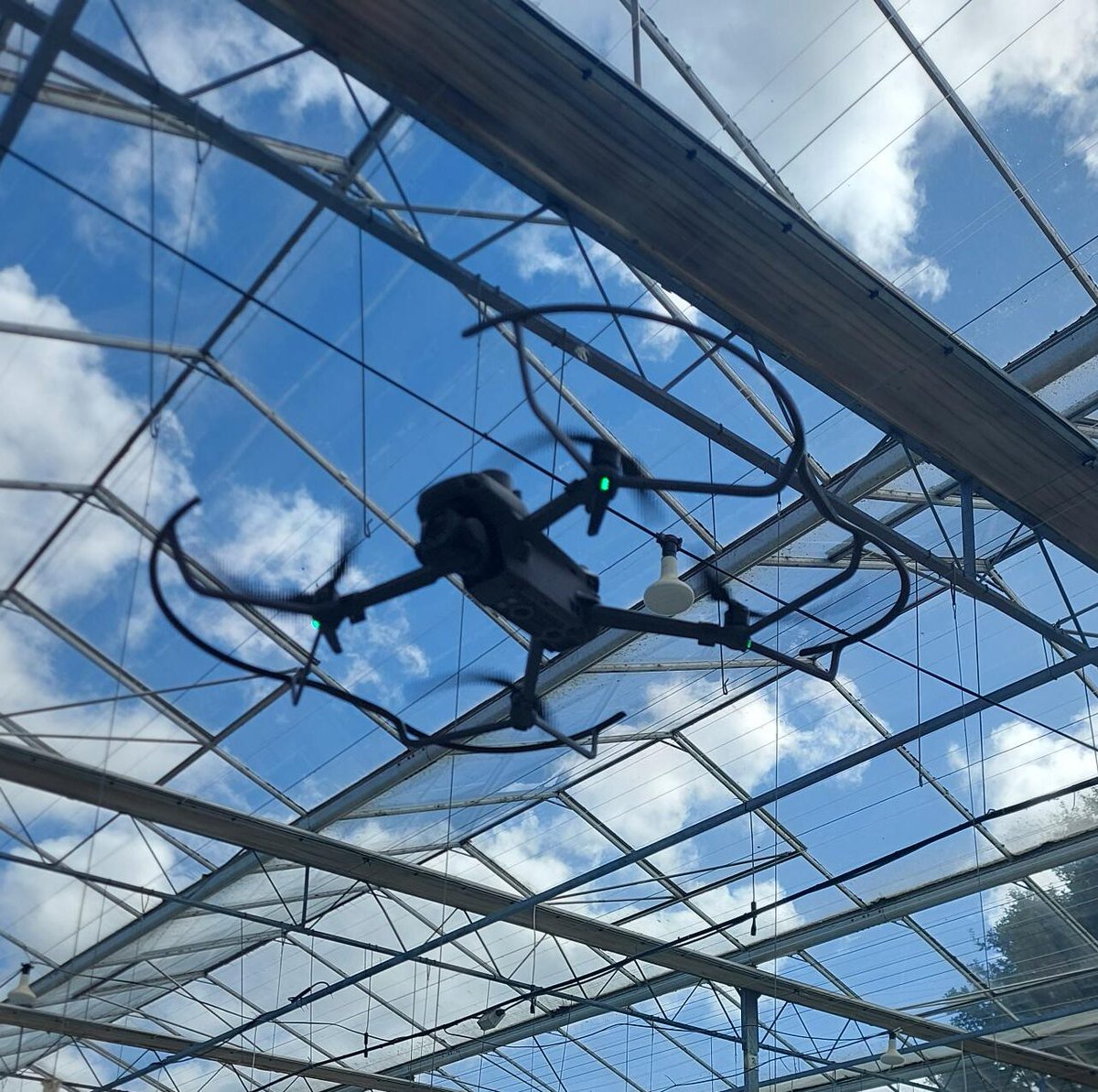 DRL Team tweet media