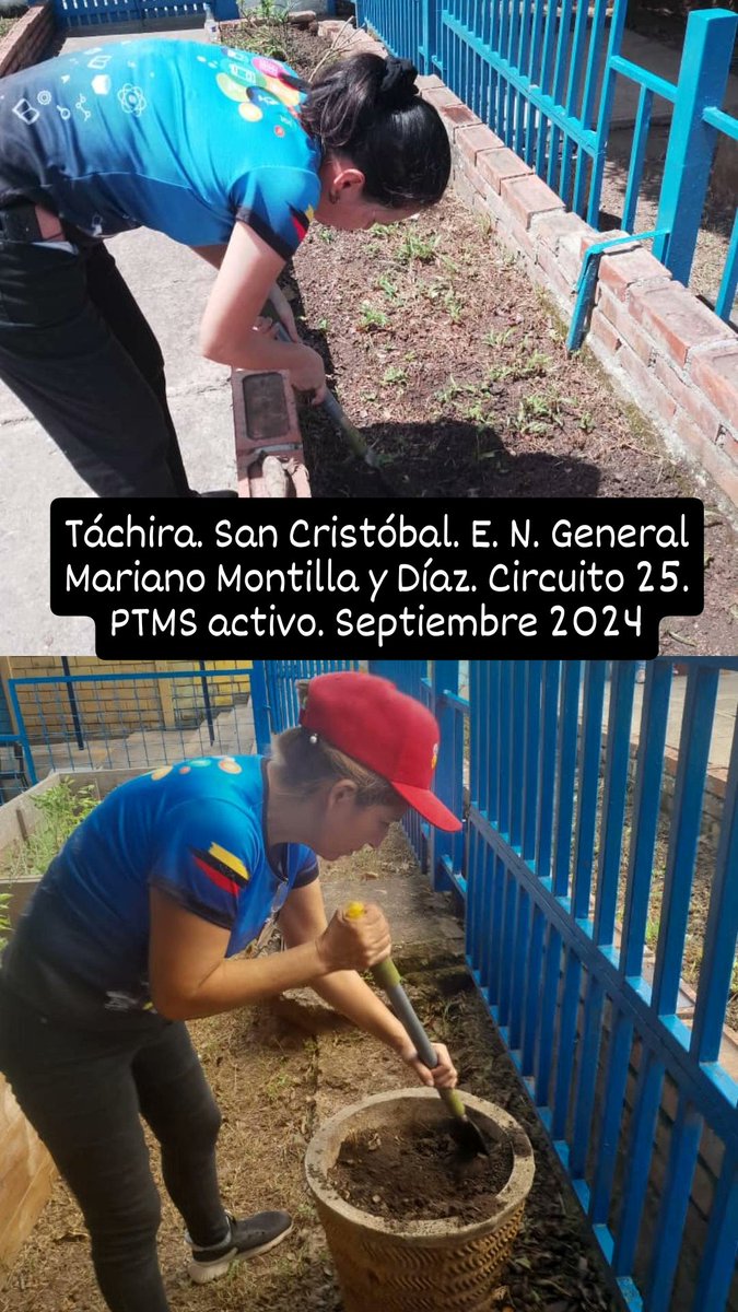 PTMS activo <a href="/HectoRodriguez/">Héctor Rodríguez C.</a> <a href="/Berzabethg1/">Berzabethgandicaoficial</a> <a href="/CDCETachira/">CDCE Táchira</a> @MPPEDUCACION <a href="/crasancristobal/">crasancristobal</a> <a href="/clifpsc/">CLIFPMV Municipio San Cristóbal</a> <a href="/Crazet2011/">Crazet2011</a> <a href="/cen_araguaney/">araguaney</a> <a href="/Funda_cenamec1/">Fundación CENAMEC</a> <a href="/cenamec_centros/">Coordinación Nacional de los Centros</a> <a href="/cenamectachira1/">Crifpzetachira</a> <a href="/Mppe_Dgpp/">Dirección General PP</a> <a href="/DGRPA1/">@DGRPA1</a> <a href="/DGSEMPPE/">DIRECCIÓN GENERAL DE SUPERVISIÓN MPPE</a> <a href="/FreddyBernal/">Freddy Bernal</a> <a href="/Danielcustodio3/">Daniel Custodio</a> <a href="/RosangelaOrozco/">Rosangela Orozco</a> <a href="/NicolasMaduro/">Nicolás Maduro</a> <a href="/FormacionMppe/">Formación Docente</a>