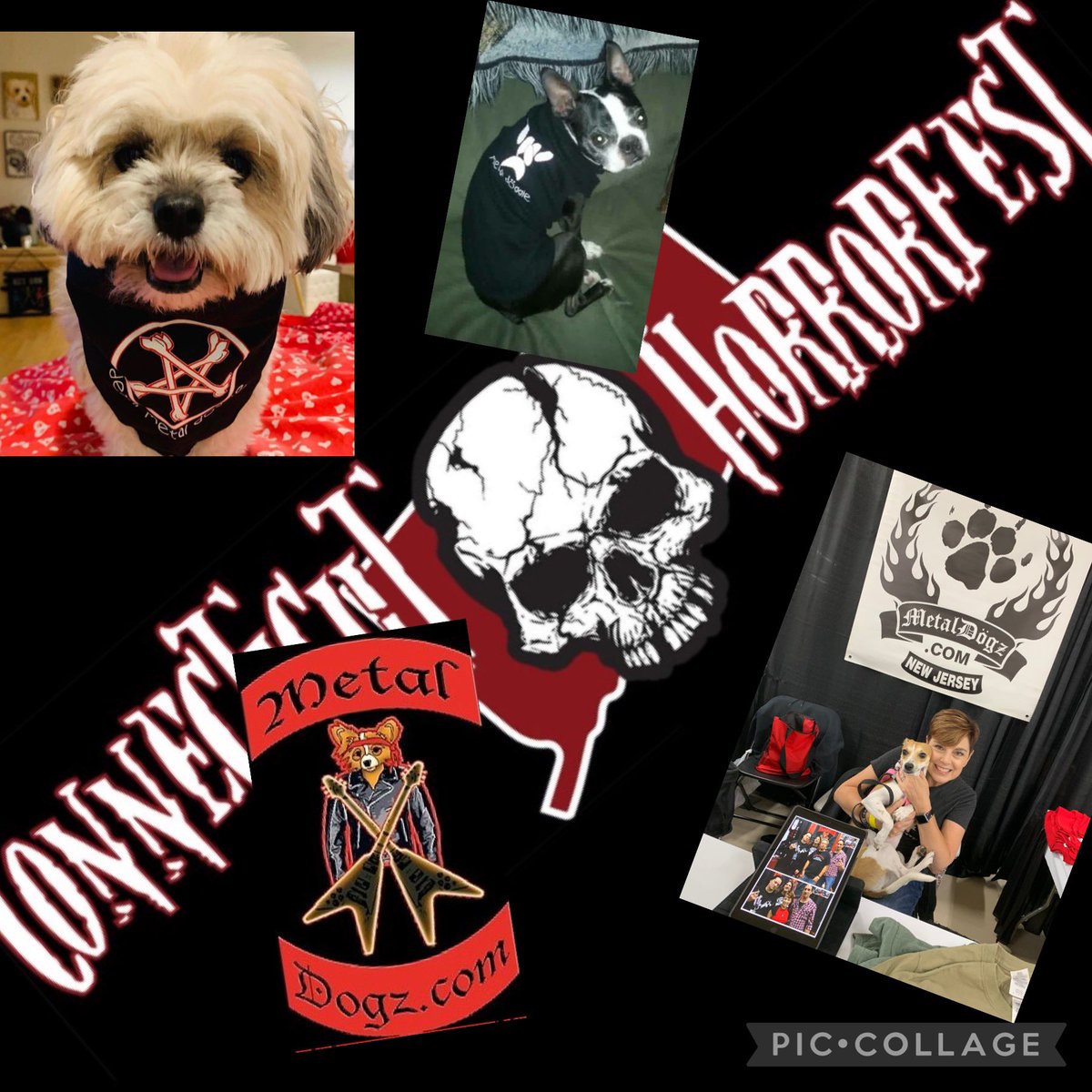 MetalDogz.com tweet media