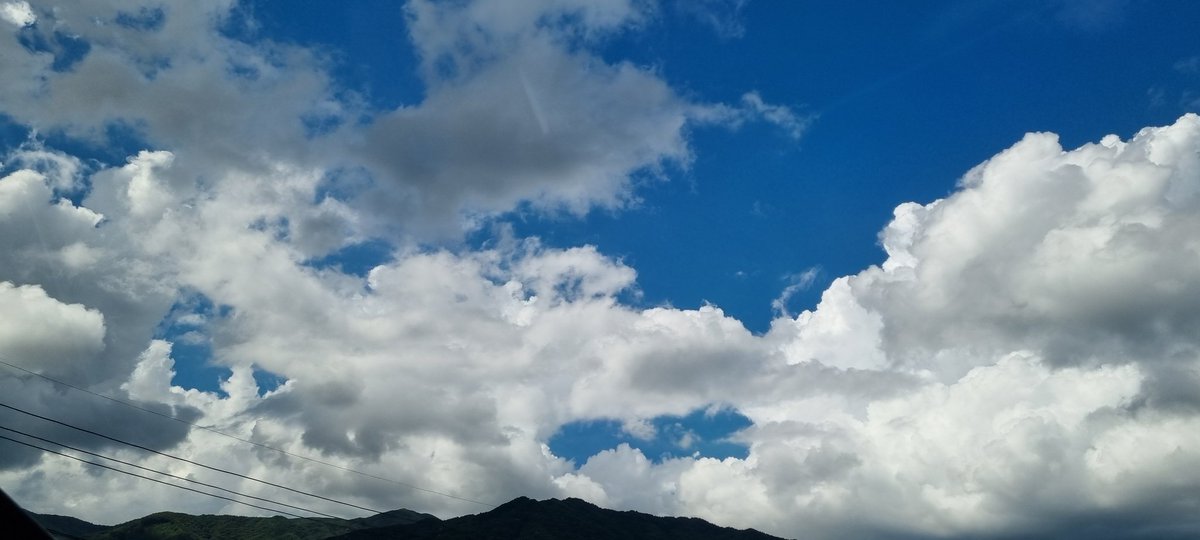 ok650908ok's tweet photo. 가을이
성큼~ https://t.co/guapvgC8ZV