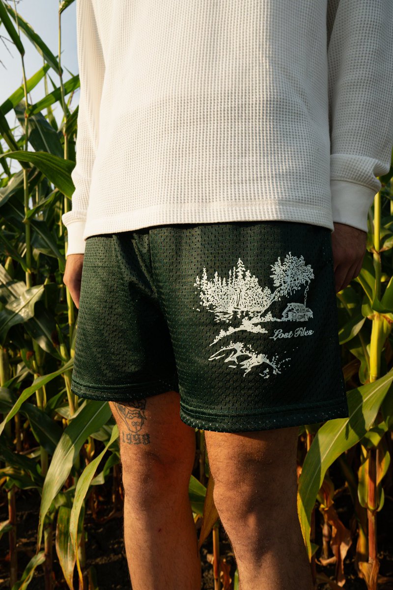 Lost Files tweet media