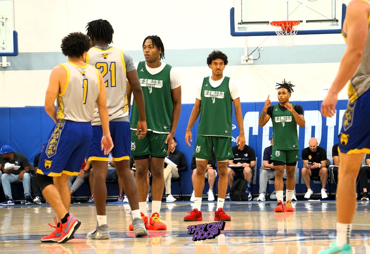They Can Hoop tweet media