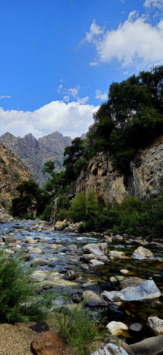 Bonnie Brooks Gallery 🎨 #NFTNYC2025 ✝️💛 tweet media