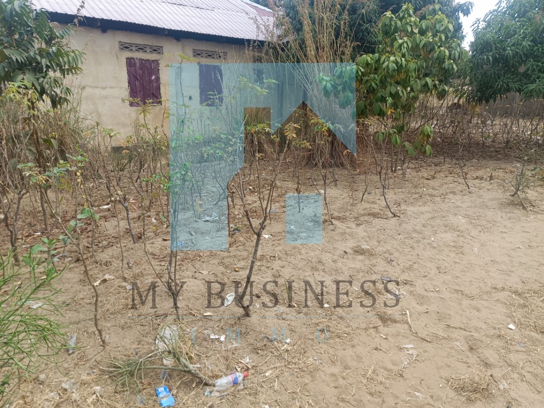 bussinessimmo's tweet photo. Terrain en vente à Nsele, dans un bon emplacement au quartier résidentiel MIBU. L'entrée est à l'arrêt Efobank au boulevard Lumumba.

Électricité et l'eau disponibles
Terrain vide avec 4 bornes

SUPERFICIE : 8m/20m
PRIX : 10.000$ à discuter

Tél. +243844648939
    +243999919965 https://t.co/FD8lTBGewR