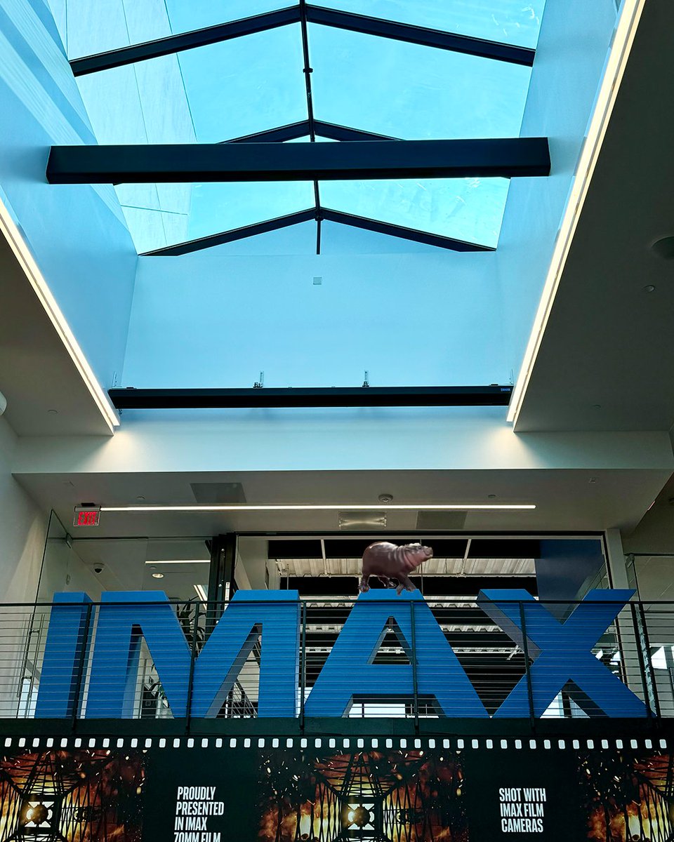 IMAX's tweet photo. IMOODENGMAX https://t.co/k9NBxpusjP