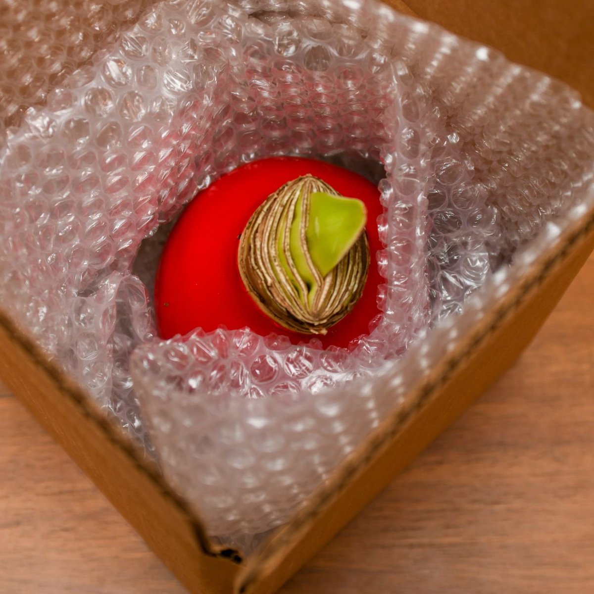 Bloomaker's tweet photo. Every bloom is a testament to our commitment to quality and craftsmanship. At Bloomaker, we carefully select and nurture each flower to ensure it not only looks beautiful but also stands the test of time.
#Bloomaker #QualityFlowers #HighQuality #WaxedAmaryllis #AmaryllisBulbs https://t.co/D8j9JShvUt