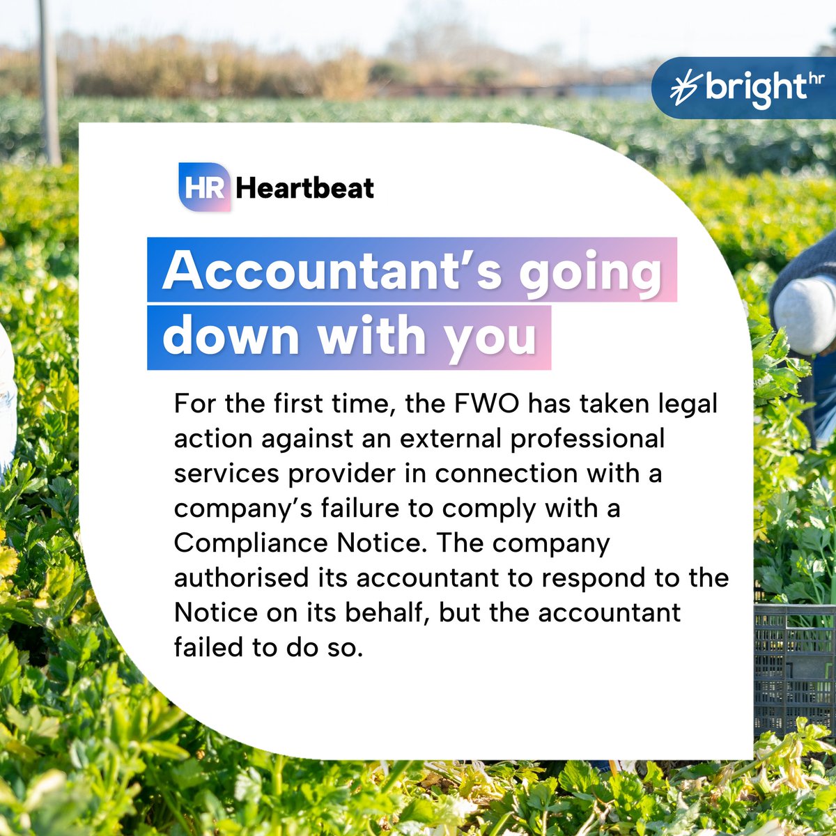 🧠R U OK? Day
🤖The top concerns surrounding #AI usage for #SMEs
❌ #MigrantWorkers exploitation leads to $166,860 penalties
📊Legal action against a company and its accountant

Keep your finger on the pulse of the #HRheadlines with the #HRHeartbeat👉 brighthr.com/au/blog/indust…