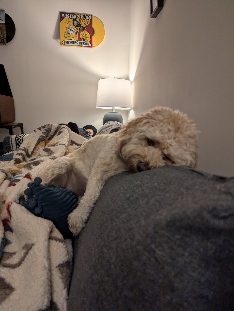 Just trying to get comfy...