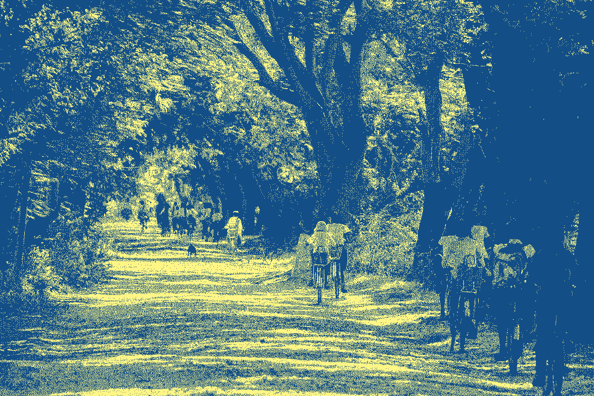 L’IA comme prétexte pour éduquer au numérique dlvr.it/TDS918