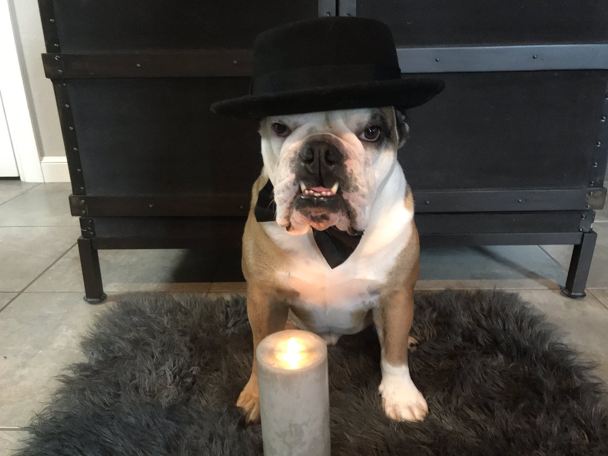 Please join me in lighting a candle to honor my beautiful friend Vickie <a href="/4PupDad/">🌈Thorne and Missy’s Dad (4 Pup Dad)</a> …..She will forever be in our hearts…😢💔