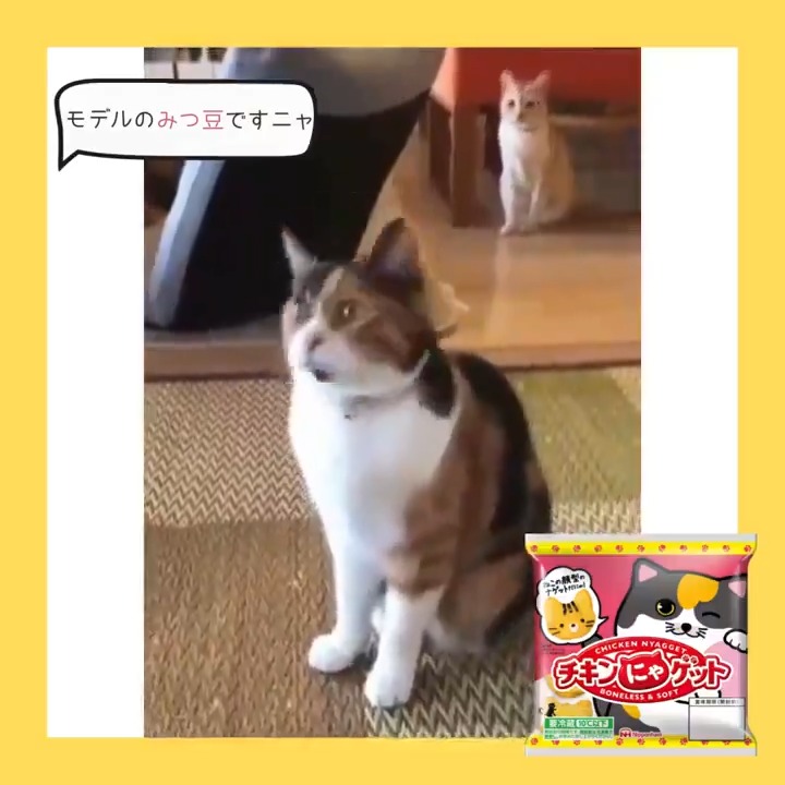 知ってる？ 🐱チキンにゃゲット豆知識🐱 ＼ 第二弾！#チキンにゃゲット