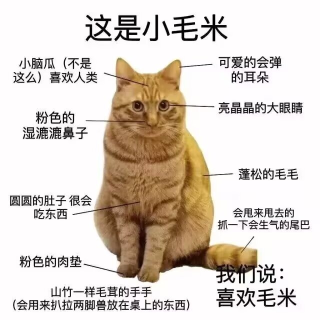 轱辘 tweet media