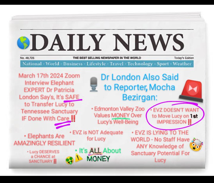 JulieKi53713414's tweet photo. ๐จ๐ฆ๐โ๏ธ๐ค๐ฟ
Elephant EXPERT Dr Patricia London told us March17/24 that Edmonton Valley Zoo is LYING to the ๐ because:
1. Greed &
2. Ego ๐ค
Dr London told host @BezirganMocha on RECORDED Zoom interview, "Lucy CAN BE SAFELY MOVEDto @ElephantsTN IF DONE WITH CARE"๐บ๐ธ
#YegZoo LIE$ https://t.co/1D1fXS1wSB