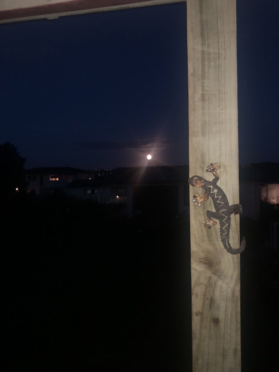 Mr Solomon tweet media