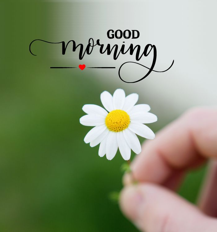 *🙏🙏सुप्रभात 🙏🙏*

*सही दिशा में किया गया अच्छा कर्म मनुष्य का वर्तमान और भविष्य दोनों बदल सकता है..!!*
 Good morning 
*🙏🙏जय श्री कृष्णा🙏🙏*
    *🙏🌹राधे राधे🌹🙏*