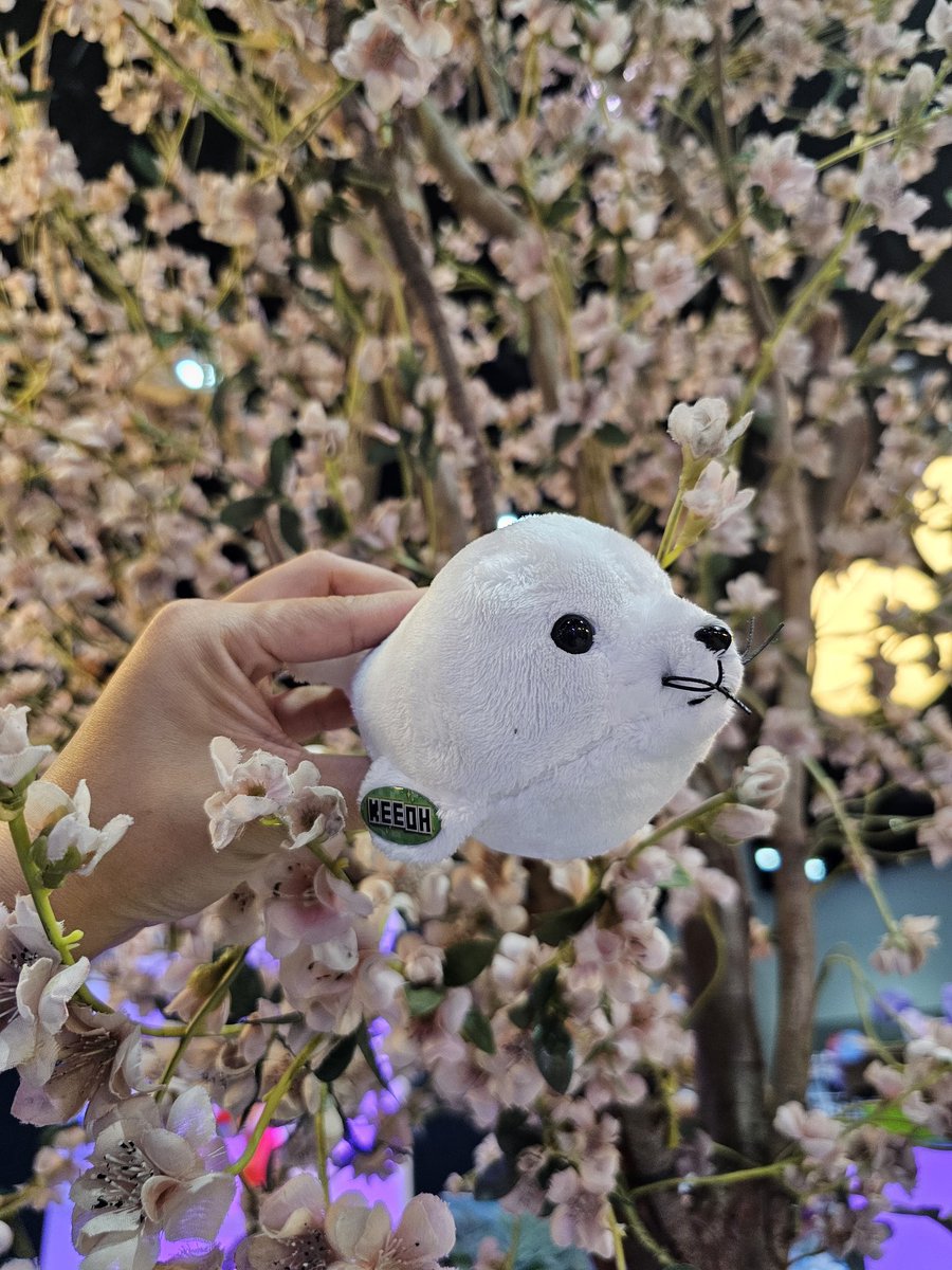 thekittycao's tweet photo. Thanks @Keeoh ! Its so cute

#twitchcon https://t.co/sZcG39FrhG