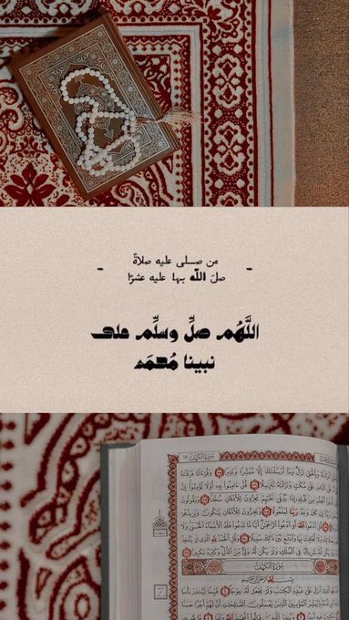 🇸🇦 (@ilovecat1_) on Twitter photo 