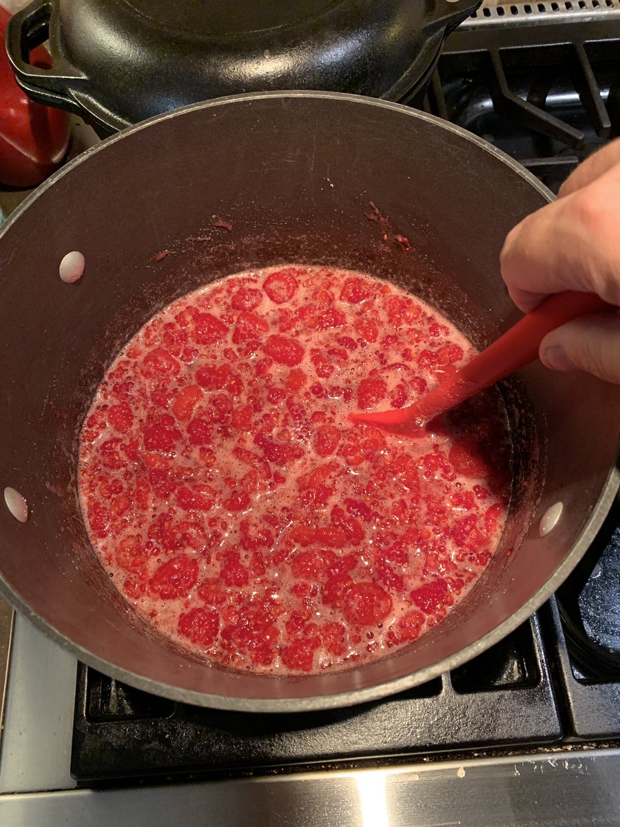 This may look like your average pot of red goo, but it’s 3 pounds of raspberries, 3 3/4 pounds of sugar and a good amount of lemon juice that - in theory- will become raspberry preserves. We’ll see. 

Updates to come!

#cooking #canning #jam