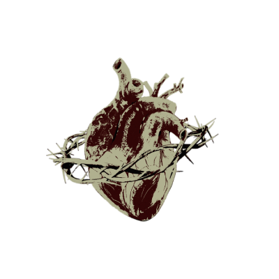 decayingribcage's tweet image. 