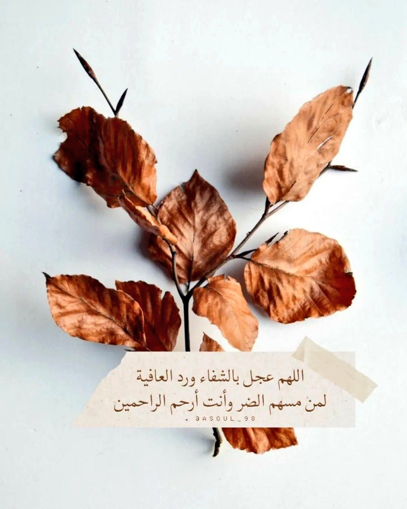 -

قد ينآلُ المرء بدعآء إخوآنه
 مآ لم يَنله بدعآئه لنفسه .

(أذْهِبِ البأسَ، رَبَّ الناسِ، واشفِ أنت الشافي، لا شِفاءَ إلَّا شِفاؤُك، شِفاءً لا يُغادِرُ سَقَمًا)

اللهم اشفني واغرس في الراحة وفي جسدي العافية يــا رب العالمين.
- فـ أدعولي💙 .
 
#اللهم_صل_وسلم_على_نبينا_محمد