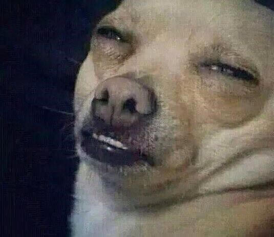 "Los pilotos somos responsables de muchas vidas, por eso nos tienen que pagar remis para llegar al trabajo."

El chofer de un Flechabus que lleva 60 personas a Córdoba y rebota sin dormir mascando coca trayendo 60 más: