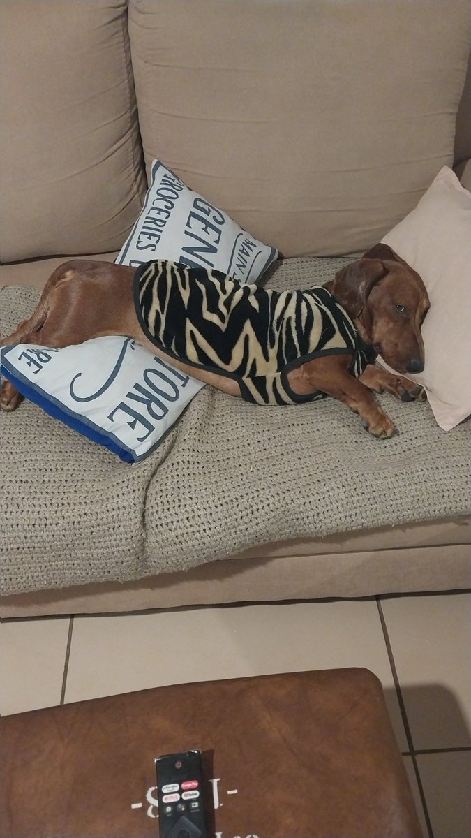 cheerliar's tweet photo. En 15 días tengo que peregrinar los 60km a Luján, cuando en realidad soy este: https://t.co/fx0tDTzBX1