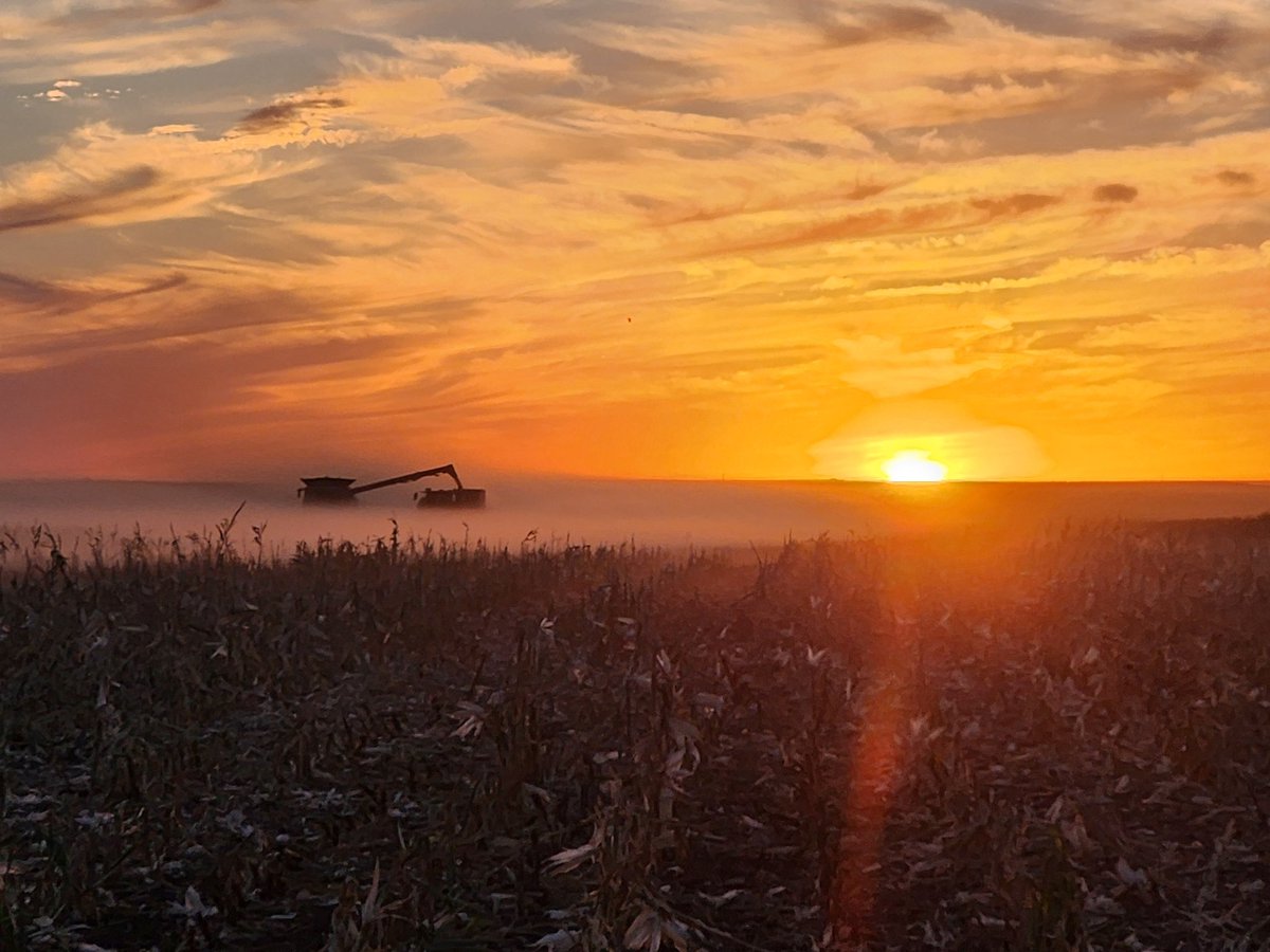 Glad the dust was hiding our awful crop, also made for a cool picture