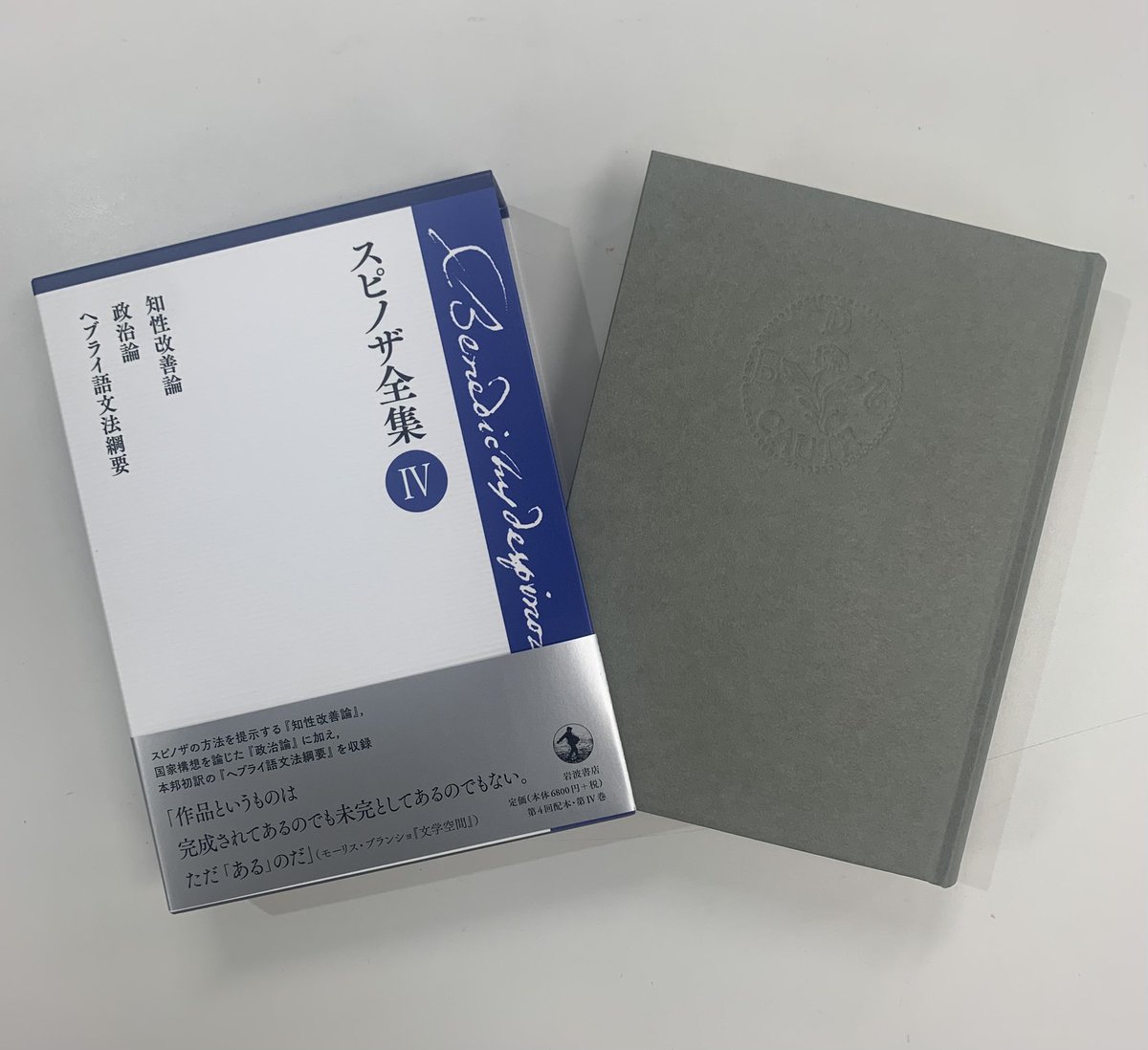 第Ⅳ巻 知性改善論 政治論 ヘブライ語文法綱要　スピノザ全集　4 第Ⅳ巻 知性改善論 政治論 ヘブライ語文法綱要 スピノザ全集 4