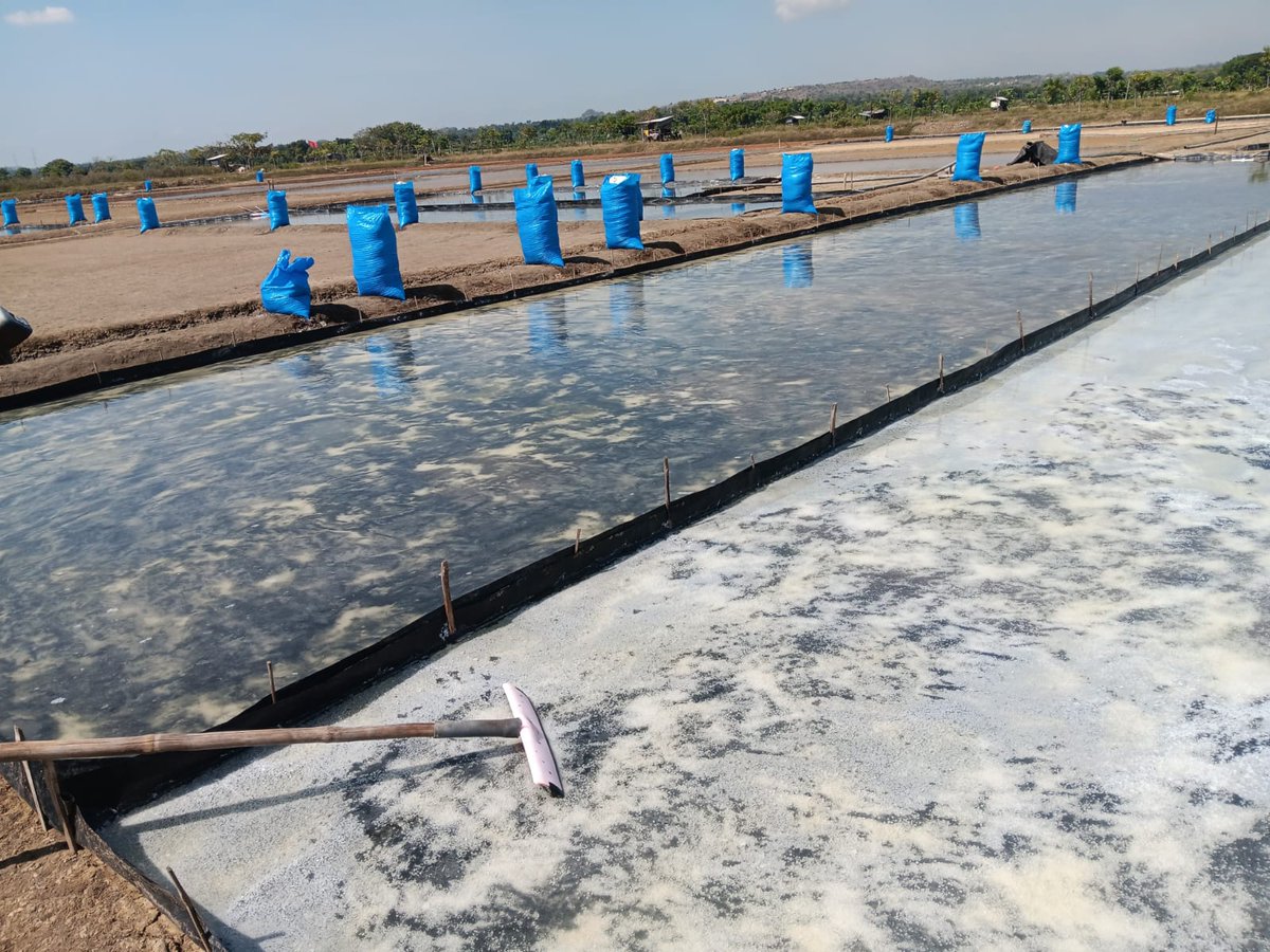 Syaiful Anwar tweet media