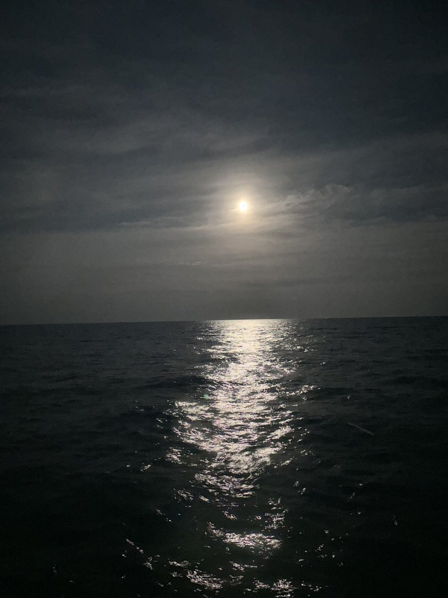 Not sure I’ve enjoyed my nightly walk with the dogs more than tonight. I am so proud to be a coach of <a href="/MarquetteWSOC/">MARQUETTE Soccer</a> BIG win tonight. Big-time ‘26 commitment yesterday. Awesome recruits &amp; families on campus today. My good friend <a href="/kshields12/">katie shields</a> told me to enjoy the victories. Cheers!