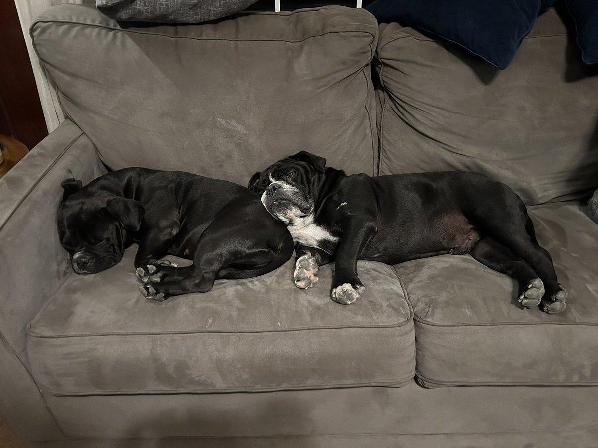 @fastmissile.bsky.social tweet media