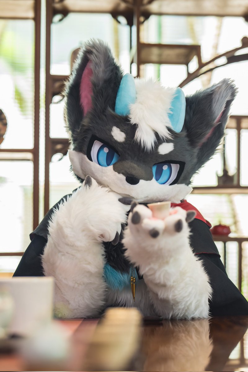 因为忘了上推所以腹泻式更新了——

📷：<a href="/LHQ_HUNK/">HK-JC</a>
#FursuitFriday