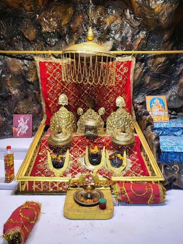 मां वैष्णो देवी के प्रातः काल अद्भुत अलौकिक दर्शन ❣️