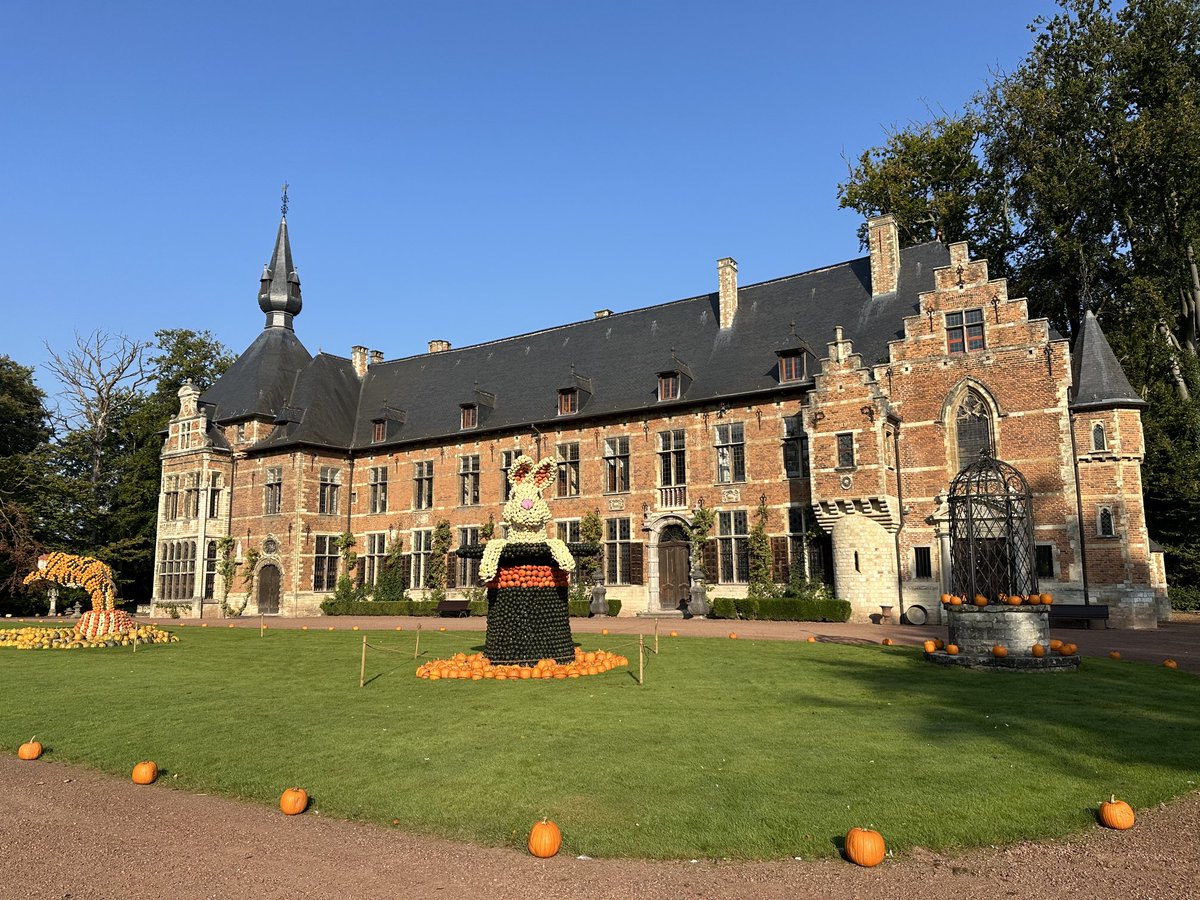ritadevries1's tweet photo. #vrtweer Groot Bijgaarden 10u24 https://t.co/wEl7Q2dPwI