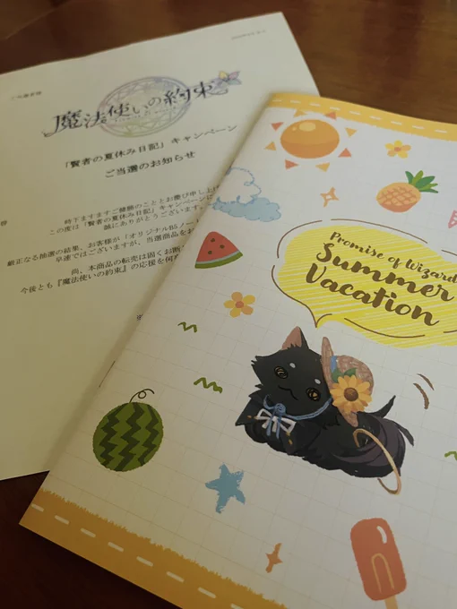 と、と、届いたあああ!!可愛い〜!! 