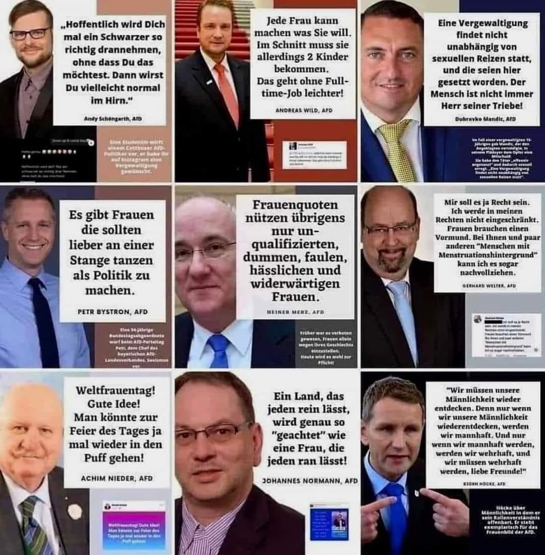 gingerino12's tweet photo. Das Frauenbild der #NoAfd. #AfDhatAngst https://t.co/dunwjDCscy